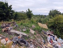 Свалка в Гурьевском районе живее всех живых