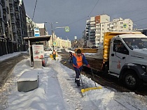 В Калининграде назвали число пришедших на уборку снега за деньги 