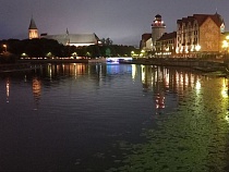 Калининград пережил санкции Запада в партнёрстве с этими 4 странами