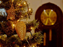 Куда сводить ребёнка на новогодних каникулах