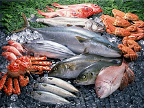 Рост потребительских цен на рыбу в России опережает инфляцию