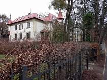 В Калининградской области прогнозируют четыре дня оттепели