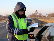 ГИБДД проверила более 500 автомобилей на наличие автокресел