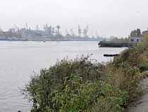 "Зелёный фронт": Роспотребнадзор не разглядел опарышей 