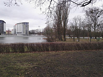 Мэрия призвала «балтрайоновских хакеров» проголосовать за пруды в парке «Южный»