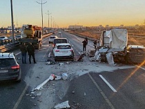 В массовом ДТП на Северном обходе Калининграда винят собаку 