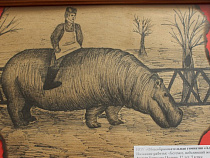 На Куршской косе открыли выставку детских рисунков "Животные на войне"