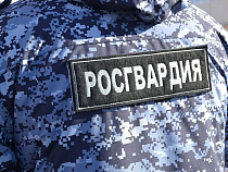 Росгвардейцы догнали гадов, шакаливших в магазине на Фрунзе