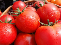 В Калининградской области уничтожено более 850 кг овощей и фруктов из Польши