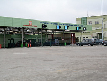 Российская пенсионерка решила не сидеть 10 дней в польской тюрьме