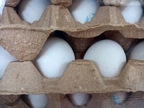 В Калининградской области начинает дешеветь самая роскошная еда