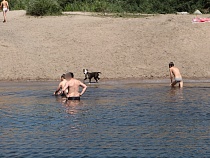 Спасатели сообщили о массовых купаниях в запрещённых местах Преголи