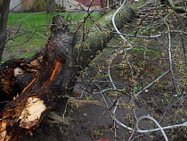 В среду ожидается усиление ветра до 27 м/с