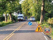 Под Славском мотоцикл не смог избежать дерева