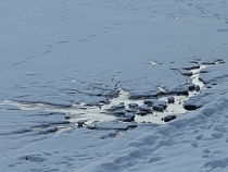 В Калининграде подо льдом заметили жуткое движение