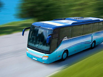 Работа над ошибками: в связи с проведением «Балтийских дебютов» из Светлогорска будут отправляться дополнительные автобусы (расписание)