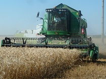 Калининградская область вдвое увеличила поставки зерна в Мексику