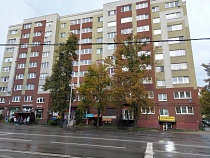 В Калининграде жёстко разогнали устроенную мужчинами голубятню