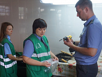 В Калининградской области сожгли 15 кг курта из Узбекистана