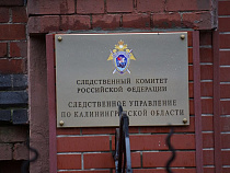 СК: руководитель ООО «Технолат» должен государству 209 миллионов рублей