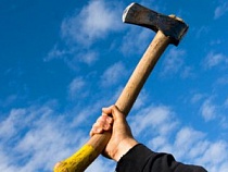 В курортном Светлогорске мужчина подозревается в жестоком убийстве соседской собаки