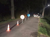 На пьяную девушку возбудили уголовное дело после ДТП в Добрино