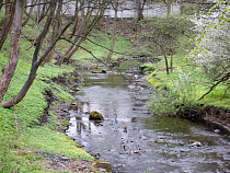  Калининградской области на мелиорацию выделили 1,7 млн рублей