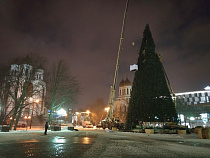 В Калининграде разобрали новогоднюю ёлку 2018