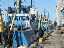 В Балтийском море возобновят промысел лосося