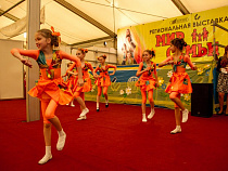 Балтик-Экспо приглашает на выставки «Мир Семьи 2017» и «Зоомир»