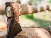 Калининградец получил 2,5 года «строгача» за шесть срубленных деревьев