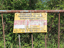 Садоводы задолжали 27,2 млн рублей за электричество