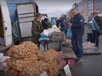 В Калининграде объяснили миниатюрность затрат на поддержку бизнеса мэрией