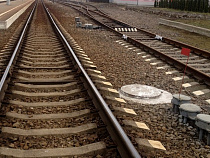 Под Калининградом поезд насмерть сбил 31-летнего мужчину