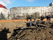 Глава Калининградской области посоветовал «меньше касаться зелёных насаждений» при застройке