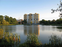 Благоустройством Летнего озера займётся фирма экс-депутата Облдумы