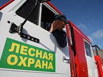 В Калининградской области утвержден Сводный план тушения лесных пожаров на 2015 год