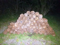 Отдыхающие нашли к северу от Балтийска 68 артиллерийских снарядов