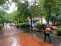 Туристическую улицу Калининграда изумило чудо четверых мужчин