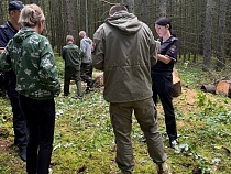 На Виштынце поймали первых махровых лесорубов