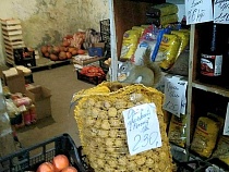 В Калининграде белочка 2 месяца ворует грецкие орехи в магазине