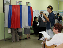 Услугами МФЦ воспользовались около 1% калининградцев, пришедших на выборы