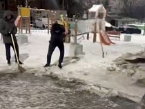 Жители элитных домов в Калининграде топорами вырубают себе путь