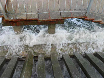 Новый шторм может обрушиться на Калининградскую область в марте