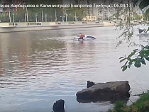 В реке Преголя в Калининграде утонул «Инфинити» (видео)