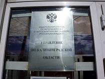 В говяжьих консервах из Калининграда обнаружена ДНК курицы