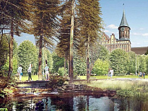 Лишь 10% доходов бюджета Калининграда идет на развитие города