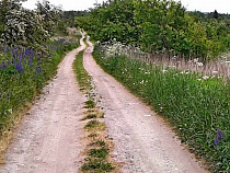 В Калининграде факт рождения 23-летнего мужчины и его сестры устанавливает прокурор