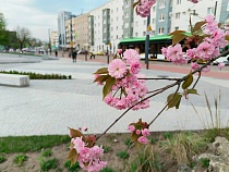 Калининградцы хотели бы отдыхать с 1 по 10 мая как в новогодние каникулы