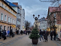 В Зеленоградске супруга участника СВО требует 350 тыс. рублей за травму